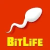 BitLife game artwork